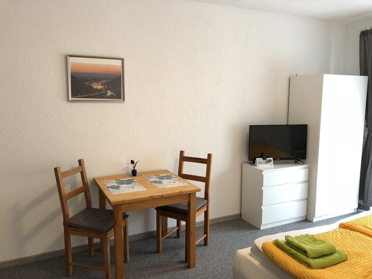 Apartmenthaus "Zum Lowen" Heidelberg - Ziegelhausen מראה חיצוני תמונה